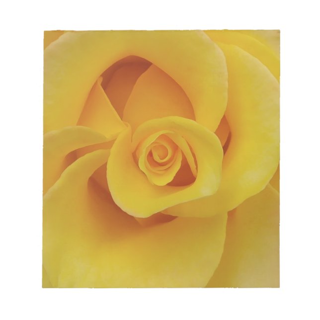 Romantische Gelbe Rosenblätter Notizblock (Vorderseite)