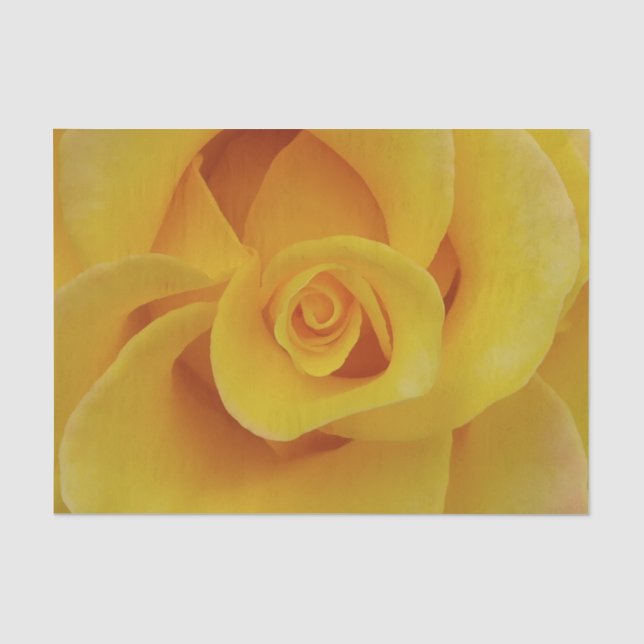 Romantische Gelbe Rosenblätter Seidenpapier (Vorderseite)