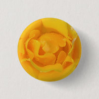 Romantische gelbe Rosentropfen