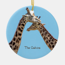 Romantische Giraffe Couple Portrait Name
