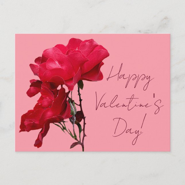 Romantische Happy Valentine rote Rose Blume Postkarte (Vorderseite)
