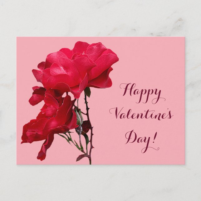 Romantische Happy Valentine rote Rose Blume Postkarte (Vorderseite)