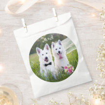 Romantische Hunde verheiratet