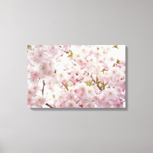 Romantische Kirschblüten und kleine Leinwand Biene