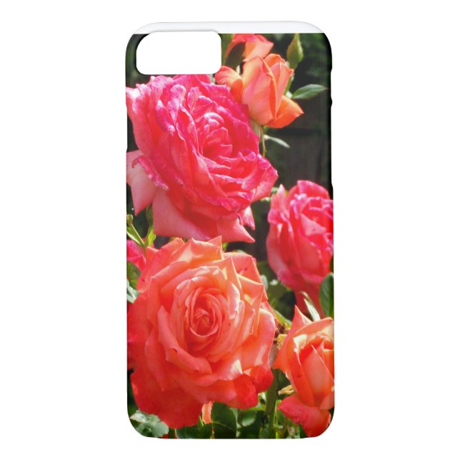 Romantische Korallen-Rose Case-Mate iPhone Hülle (Rückseite)