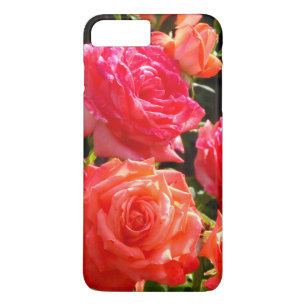 Romantische Korallen-Rose title_seo2