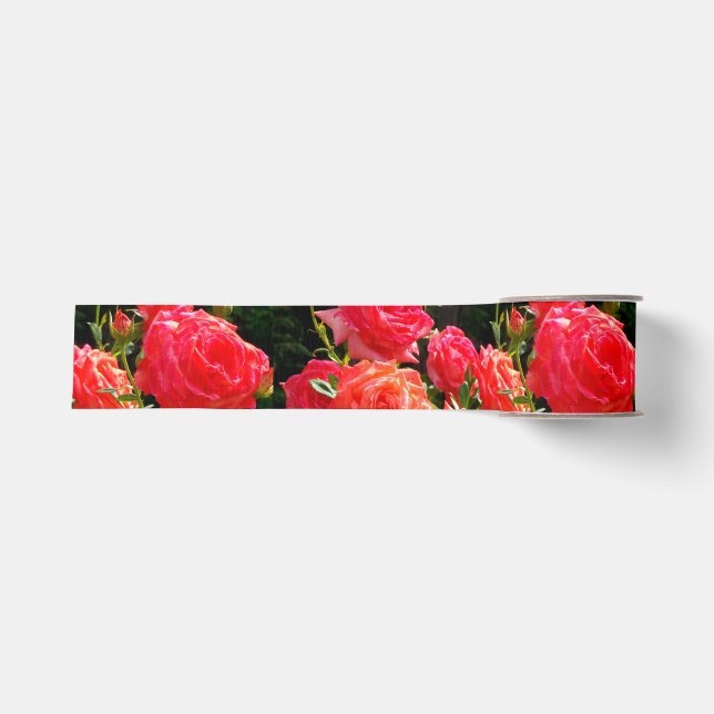 Romantische Korallen-Rose Ripsband (Vorderseite)