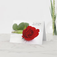 Romantische Liebe der Rosen-I Sie nur eine für