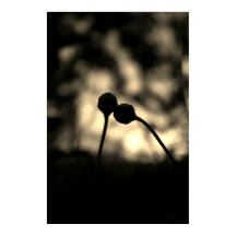 Romantische, melancholische Blumen – Botanische Fa