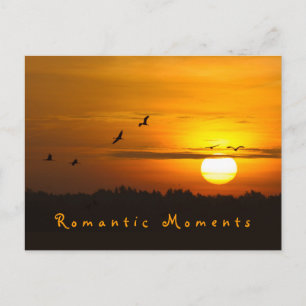Romantische Momente Krane bei Sonnenaufgang Foto m Postkarte
