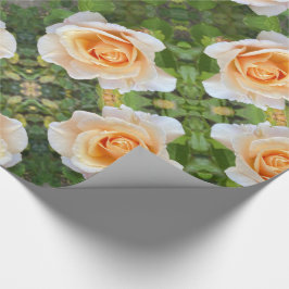 Romantische Orangefarbene Rose Rose Blume Geschenkpapier