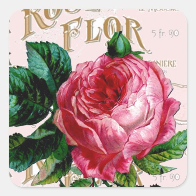 Romantische Pariser Rose schabbychisch rosa Quadratischer Aufkleber (Vorderseite)