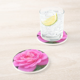 Romantische pinke Rose „Leonardo Da Vinci“ Getränkeuntersetzer