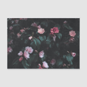 Romantische rosa Blume im dunklen Hintergrund Seidenpapier