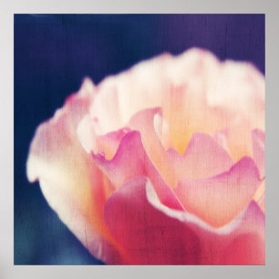 Romantische Rosa Rose auf Leinwand Makro Abstrakt Poster