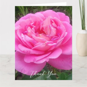 Romantische rosa Rose 'Leonardo Da Vinci' Dankeskarte