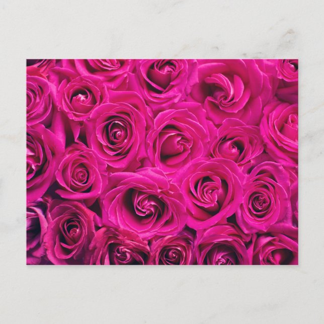 Romantische Rosa Rose Postkarte (Vorderseite)