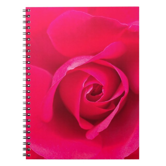 Romantische Rosa Rose v2 Notizblock (Vorderseite)
