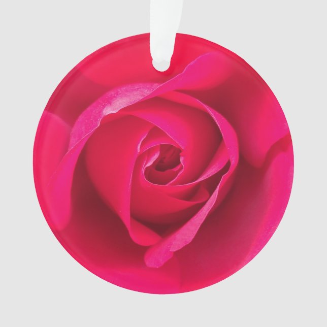Romantische Rosa Rose v2 Ornament (Vorderseite)