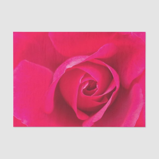 Romantische Rosa Rose v2 Seidenpapier (Vorderseite)