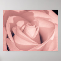 Romantische rosa Rosenblüten Archivkunst