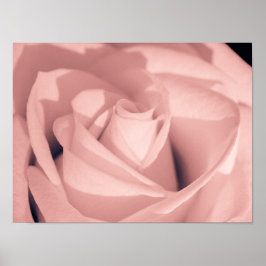 Romantische rosa Rosenblüten Archivkunst Poster