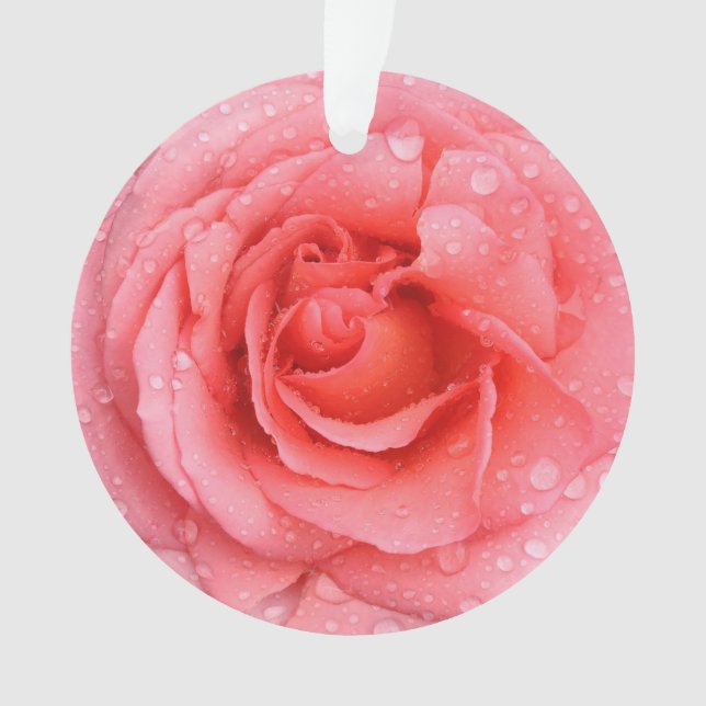 Romantische Rosa Rosentropfen Ornament (Vorderseite)