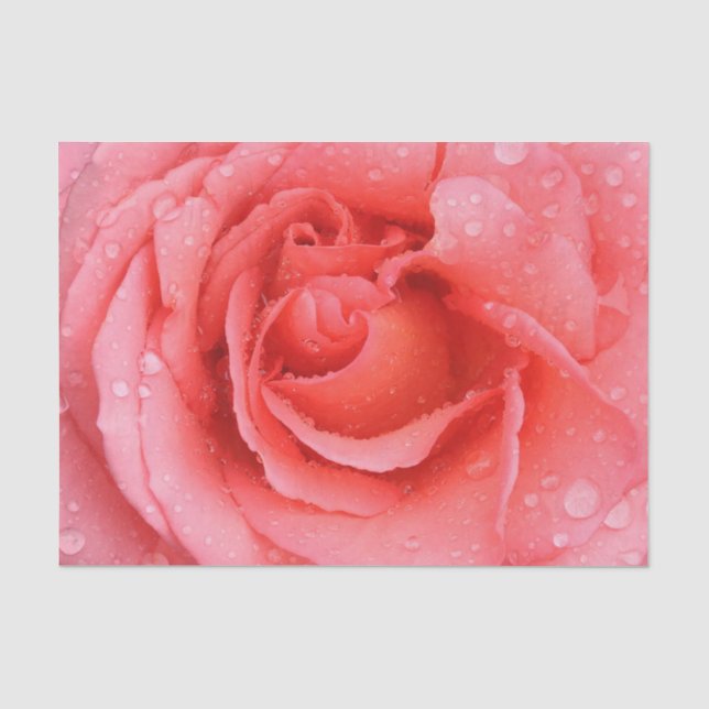 Romantische Rosa Rosentropfen Seidenpapier (Vorderseite)