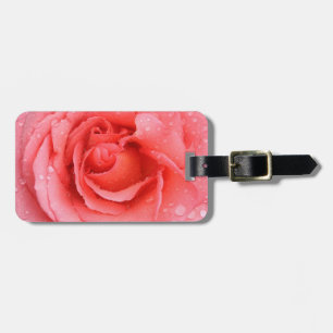 Romantische rosa Rosenwasser-Tropfen Gepäckanhänger