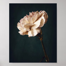 Romantische rosafarbene Kunstfotografie