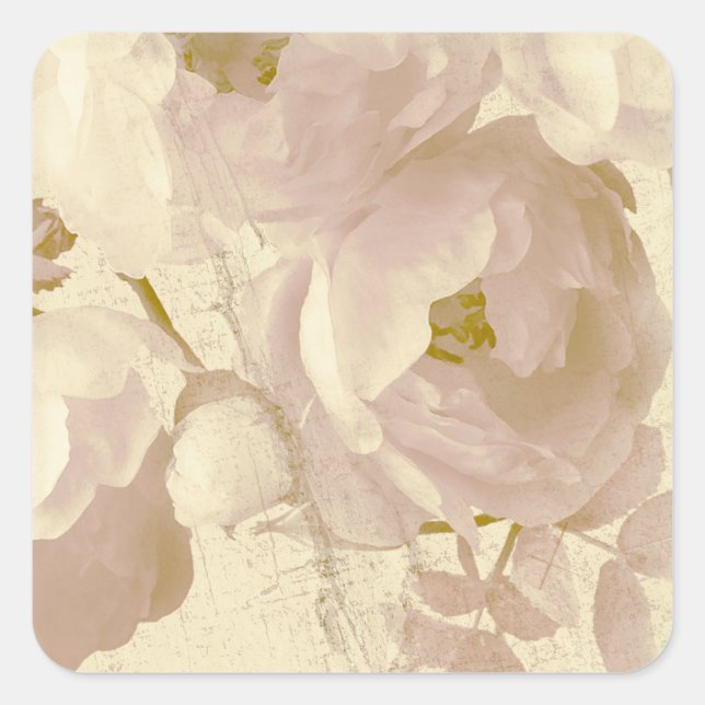 Romantische Rose blassgelb Quadratischer Aufkleber (Vorderseite)
