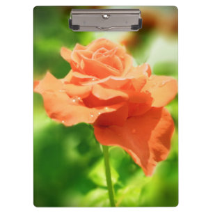 Romantische Rose Blume #2 Klemmbrett