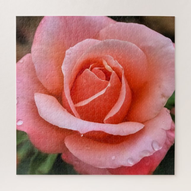 Romantische Rose Botanische Kunst (Vertikal)