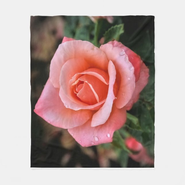 Romantische Rose Botanische Kunst Fleecedecke (Vorderseite)