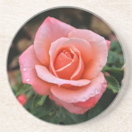 Romantische Rose Botanische Kunst Getränkeuntersetzer