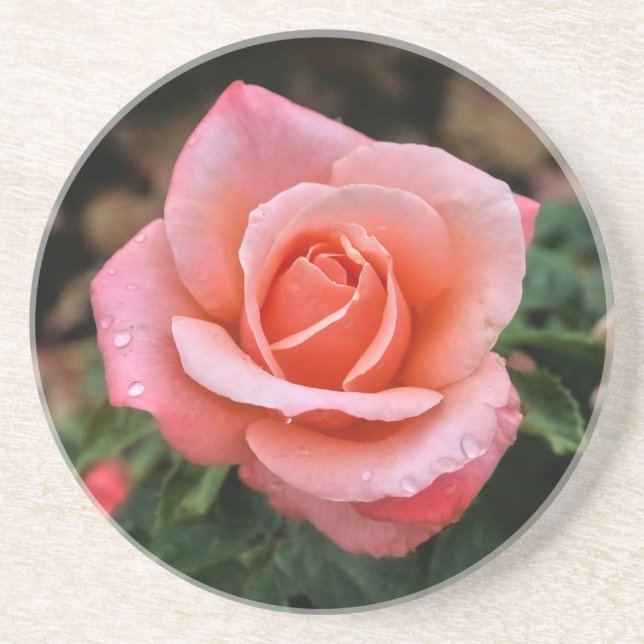 Romantische Rose Botanische Kunst Getränkeuntersetzer (Vorne)