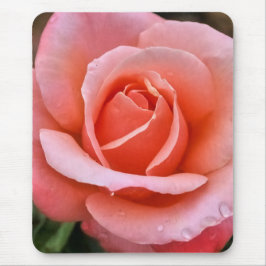 Romantische Rose Botanische Kunst Mousepad