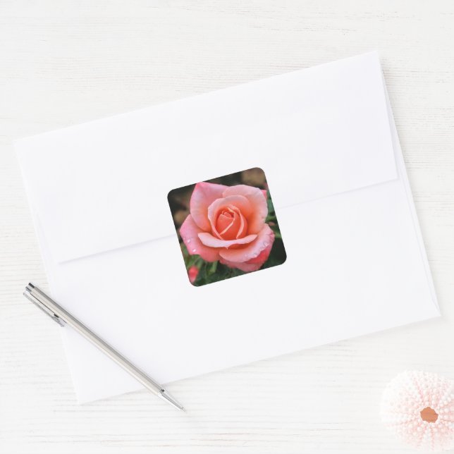Romantische Rose Botanische Kunst Quadratischer Aufkleber (Umschlag)