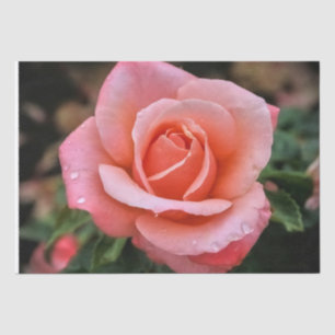 Romantische Rose Botanische Kunst Seidenpapier