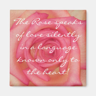 Romantische Rose Magnet