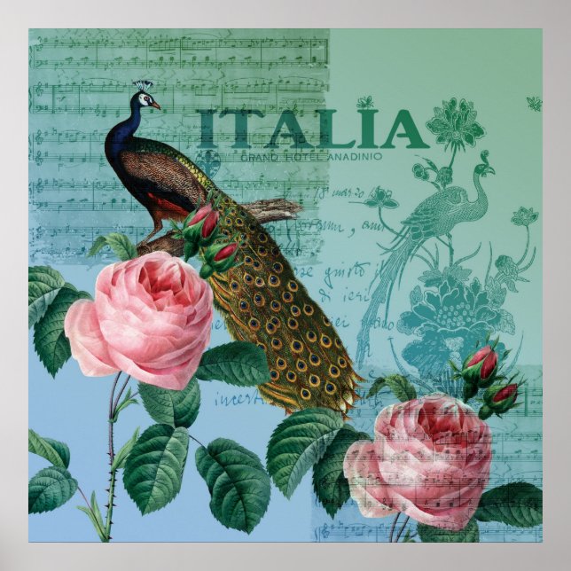 Romantische Rose Musical Peacock Poster (Vorne)