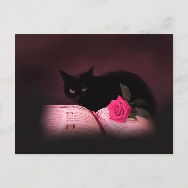 Romantische Rose Postkarte (Vorderseite)