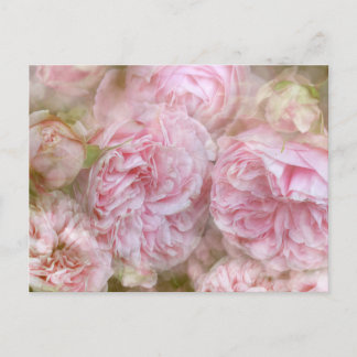 Romantische Rosen - Romantic Roses Postkarte