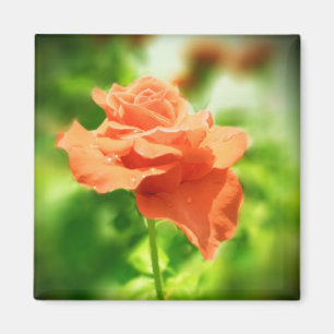 Romantische Rosenblumen #2 Magnet