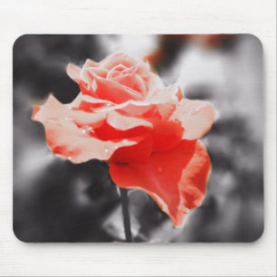 Romantische Rosenblumen #3 Mousepad