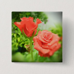 Romantische Rosenblumen Button