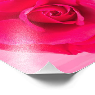 Romantische rote rosa Rose v2 Fotodruck