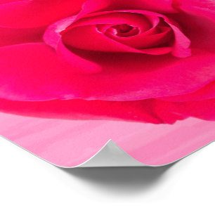 Romantische rote rosa Rose v2 Poster