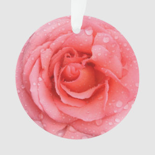 Romantische rote rosa Rosen-Wassertropfen Ornament
