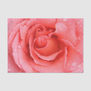 Romantische rote rosa Rosen-Wassertropfen Seidenpapier